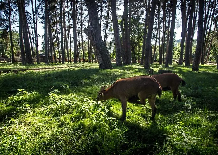 Sazavsky Ostrov * Sázava